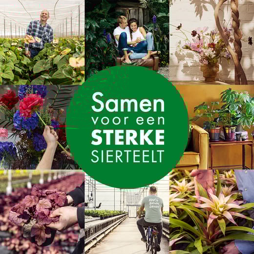 2438155_BBH_Mozaiek_1200x1200_CorporateWebsite_NL_versie-2 (1)